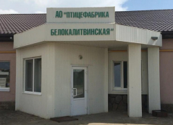 Старейшую птицефабрику Ростовской области продают на Avito за 900 млн рублей