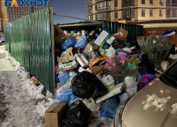 Стало известно, где в Ростове пока не вывозят мусор из-за гололеда