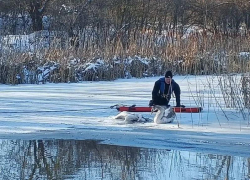 Лебедя, оставшегося рядом с погибшей подругой на льду спасли в Ростовской области  