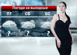 В Ростове первые выходные февраля будут дождливыми и пасмурными