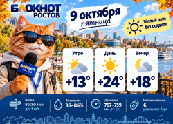 До +24 градусов и умеренная магнитная буря ожидают Ростов 9 октября