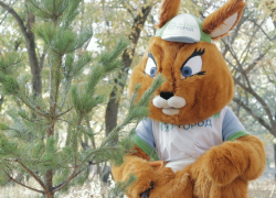 Календарь: 17 октября – день древонасаждения в Ростовской области