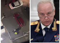 Александр Бастрыкин встал на сторону жертвы хулиганов в массовой драке