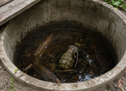 В Ростовской области мужик нашёл гранату в выгребной яме и попытался продать её в Подмосковье