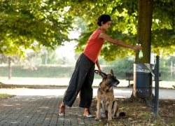 Жителям Ростовской области грозит штраф за неубранные экскременты животных