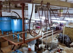 Под Ростовом продают консервный завод с собственной торговой маркой за 60 млн рублей