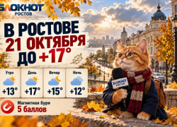 В Ростове 21 октября похолодает до +17 градусов и ожидается магнитная буря