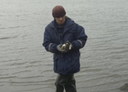 В Ростове спасли слепого щенка и его маму с островка на Дону