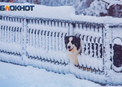 Синоптики рассказали когда увидят первый снег в Ростовской области