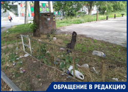 «Кучи мусора никто не убирает несколько месяцев»: ростовчанка пожаловалась на свалку на улице Каширской