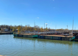 Проект моста на Зеленый остров в Ростове вновь отправят на экспертизу