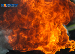 Ростовчанин зарезал престарелую родственницу и сжег ее дом