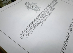 Ростовские следователи заочно обвинили иностранца в убийстве на Вавилова в 2010 году