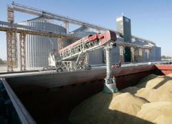 Западные санкции не повлияли на экспорт сельхозпродукции из Ростовской области