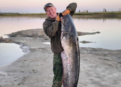 Донской рыбак поймал сома-гиганта с человеческий рост в Азовском районе