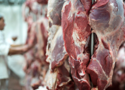 В Ростовской области подорожала говядина, а курятина подешевела