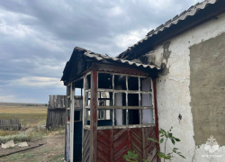 Героические животные спасли дом от пожара в Красносулинском районе