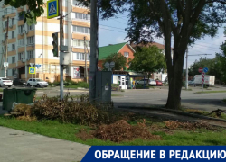 «Рухнувшее дерево распилили, а ветки не убрали»: ростовчанка пожаловалась на работу управления благоустройства