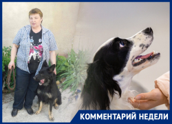 «Никто не будет контролировать»: зоозащитник высказалась о правилах выгула и содержания собак и кошек в Ростовской области