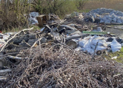 Проезжающие мимо Ростова экологи засняли свалку из окон поезда
