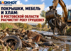 Покрышки, мебель и хлам: в Ростовской области расчистят реку Грушевку