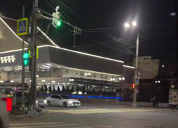 На Большой Садовой появился новый пешеходный переход