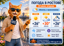 Жара до +30 градусов и слабая магнитная буря ожидаются в Ростове 24 июня