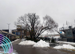 Мороз и пронизывающий ветер ожидаются в Ростове 9 февраля