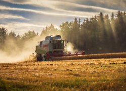 В Ростовской области потратят более 5 млрд рублей на развитие АПК
