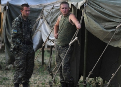 Группа из 17 украинских военных перешла через границу в Ростовской области и попросила убежища