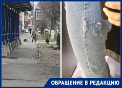 В центре Ростова на женщину напали агрессивные собаки 