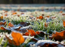 Экстренное предупреждение от МЧС: на Дон идут заморозки