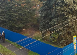 Власти Ростова уговорили владельца участка на Шолохова остановить вырубку деревьев
