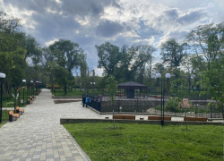 Слюсарь призвал сохранять озеленение при благоустройстве общественных территорий региона