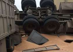 В Ростовской области на трассе перевернулся грузовик с зерном