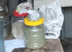 В Сальске у пенсионера изъяли более 230 граммов марихуаны