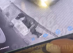 В Ростове пьяный мужчина с шлакоблоком напал на салон красоты