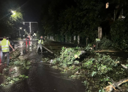 В Ростове во время урагана погиб один человек