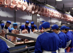 Вопреки обещаниям Внешэкономбанк готовит массовые увольнения на «Евродоне»