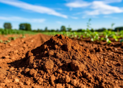 Первую Красную книгу почв для их сохранения готовят в Ростовской области