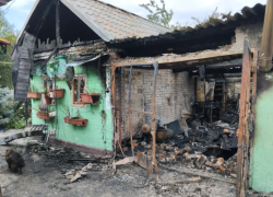 За неделю на Дону в пожарах и ДТП погибли четыре человека