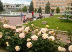 Стали известны наиболее дорогие для проживания отдаленные районы Ростовской области