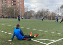 Поле за 8 млн рублей выставили на продажу под Ростовом