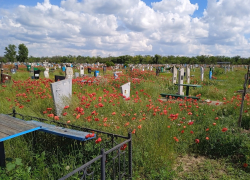 В Ростовской области снижается количество рождений, и пожилых людей больше, чем детей