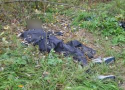Труп страдающего адскими мигренями мужчины обнаружили в лесу Ростовской области