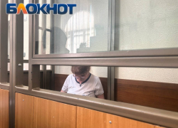 За закрытыми дверями: что скрыла от журналистов запись по делу донского экс-министра финансов Федотовой
