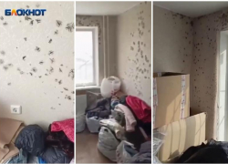 Жители рухнувшей пятиэтажки на Нариманова дома рассказали о плесени в доме, куда их переселили