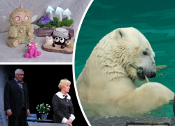 В Ростове встретят весну с белыми медведями, музыкой Бетховена и волшебной ярмаркой