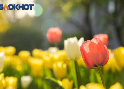 Жителей Ростова 27 апреля ждет всего +13 градусов