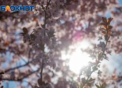 Солнечная и очень теплая погода ожидается в Ростове  